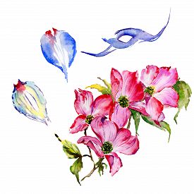 275x275 Flower Watercolour Photos And Images