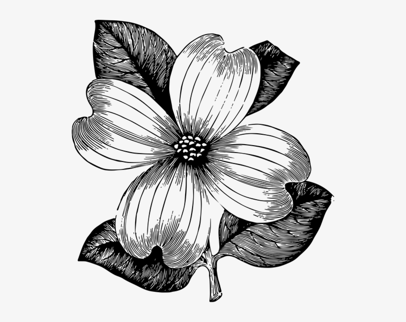 820x650 Free Download Flower Clipart And Vector