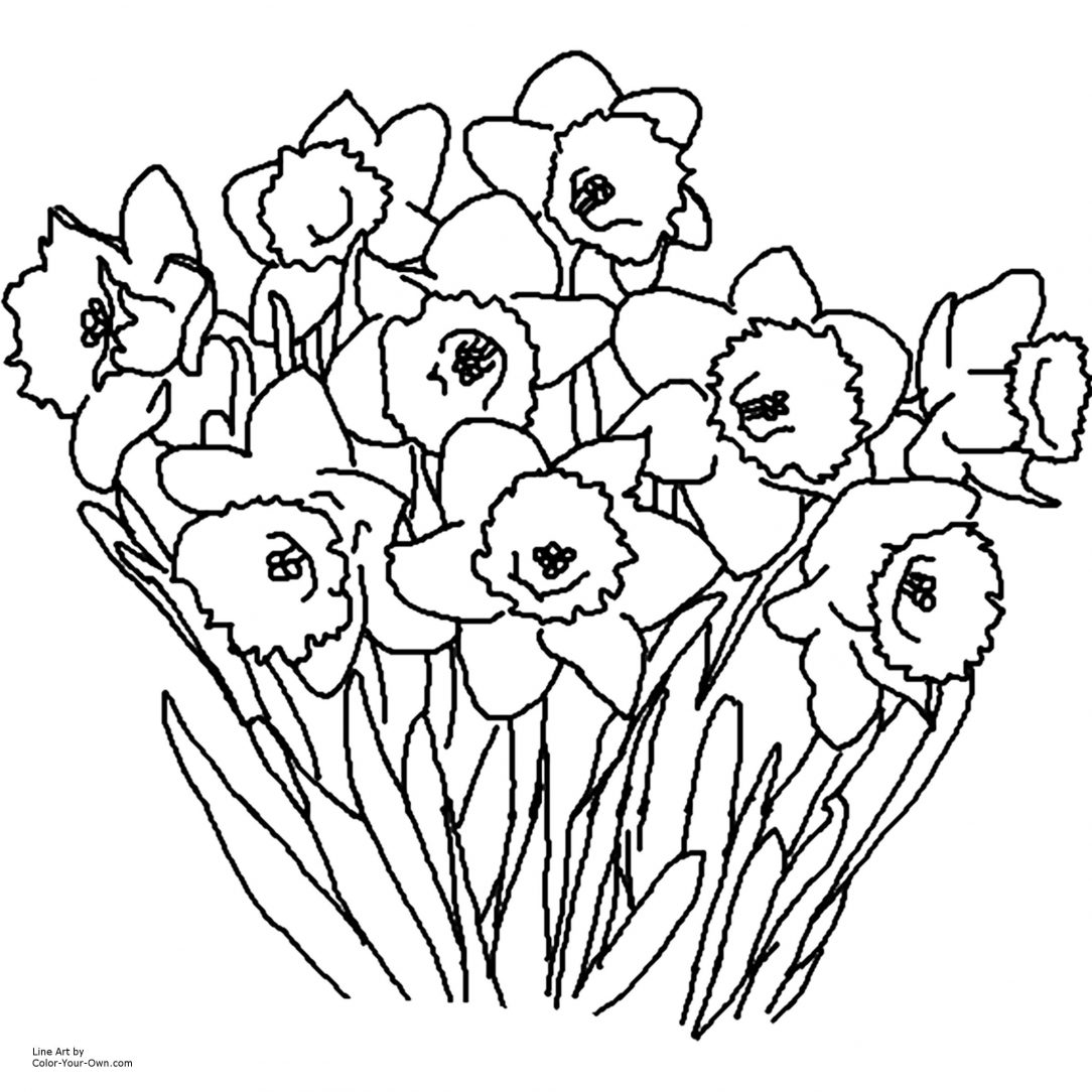 1084x1084 Colouring Pages Bunch Of Coloring Grass And Dogwood Flower Borders