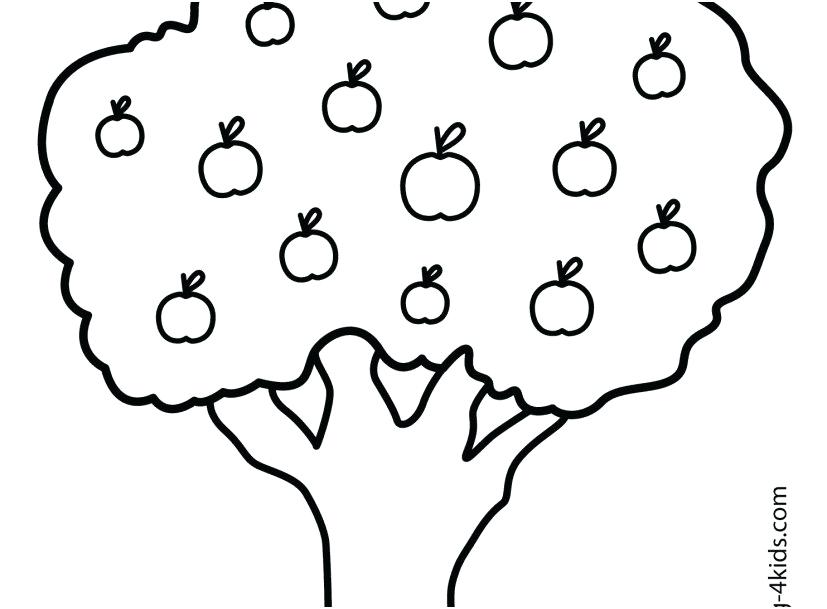 827x609 Flowering Dogwood Coloring