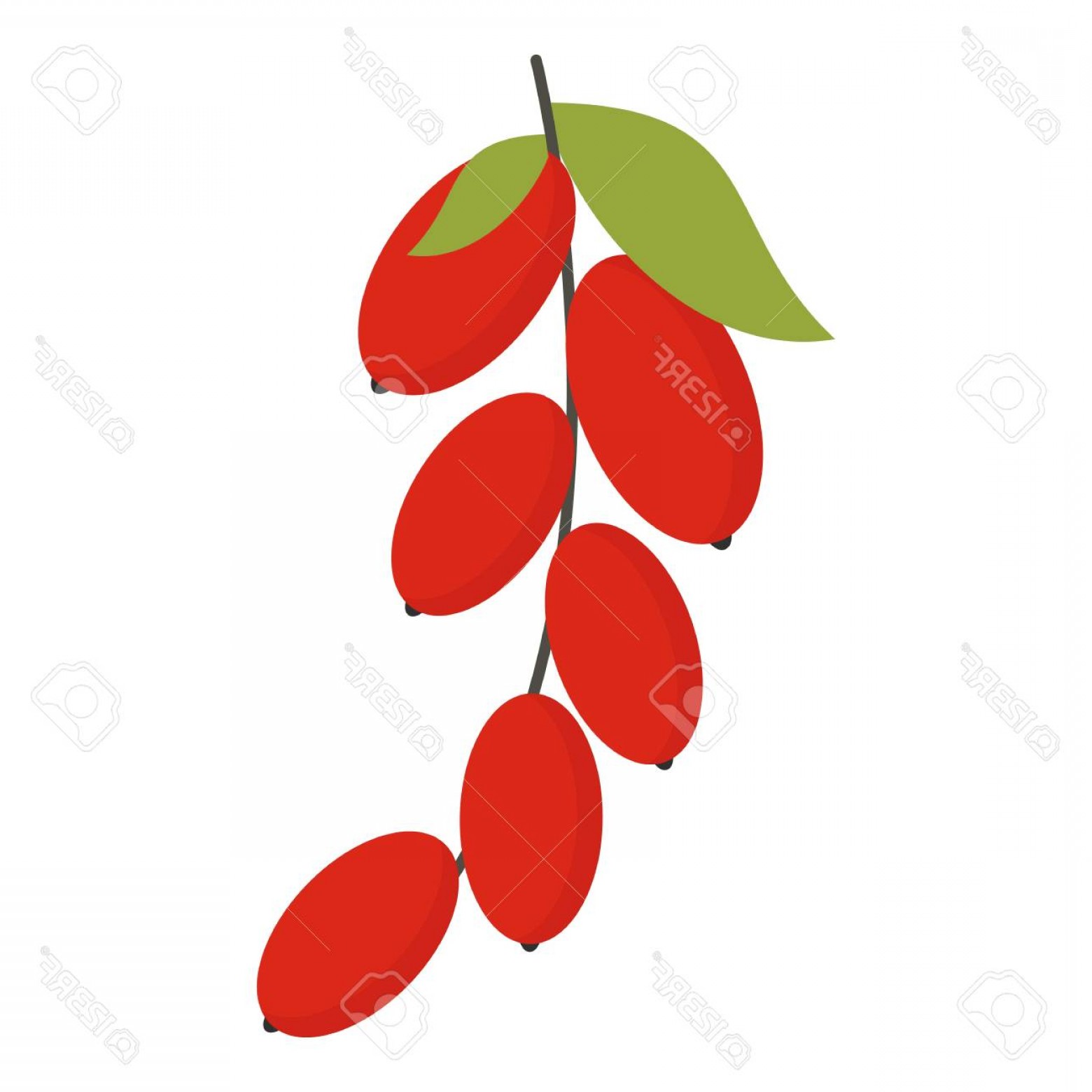 1560x1560 dogwood tree vector createmepink