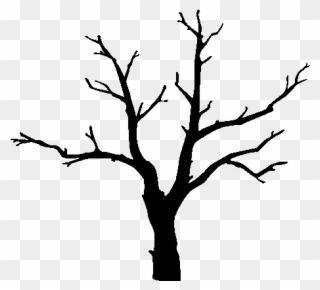 320x290 Black, Fall, Outline, Drawing, Leaf, Tree, White