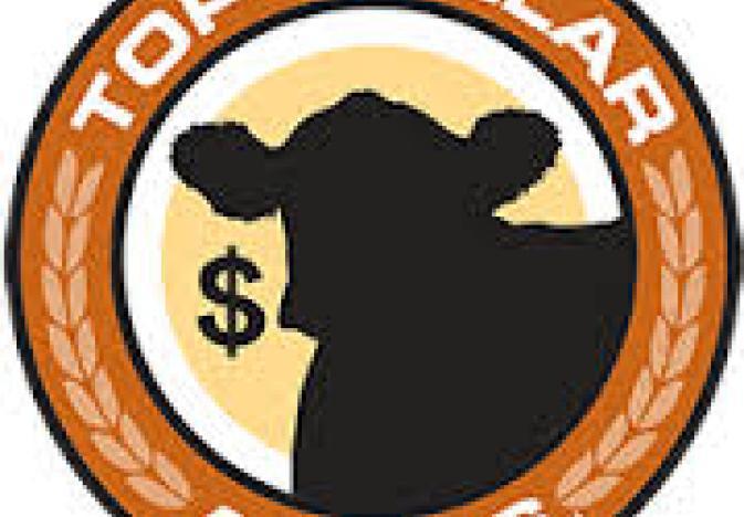 673x468 top dollar angus drawing for semen, cidrs and dna tests drovers