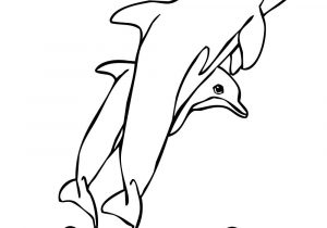 300x210 dolphin cartoon drawing drawing dolphin cartoon dolphin cartoon