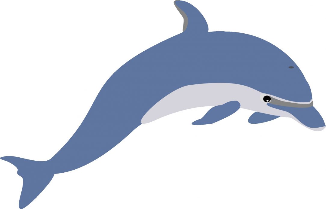 1084x696 Dolphin Drawing Tutorial Cartoon Easy Baby Fish Step