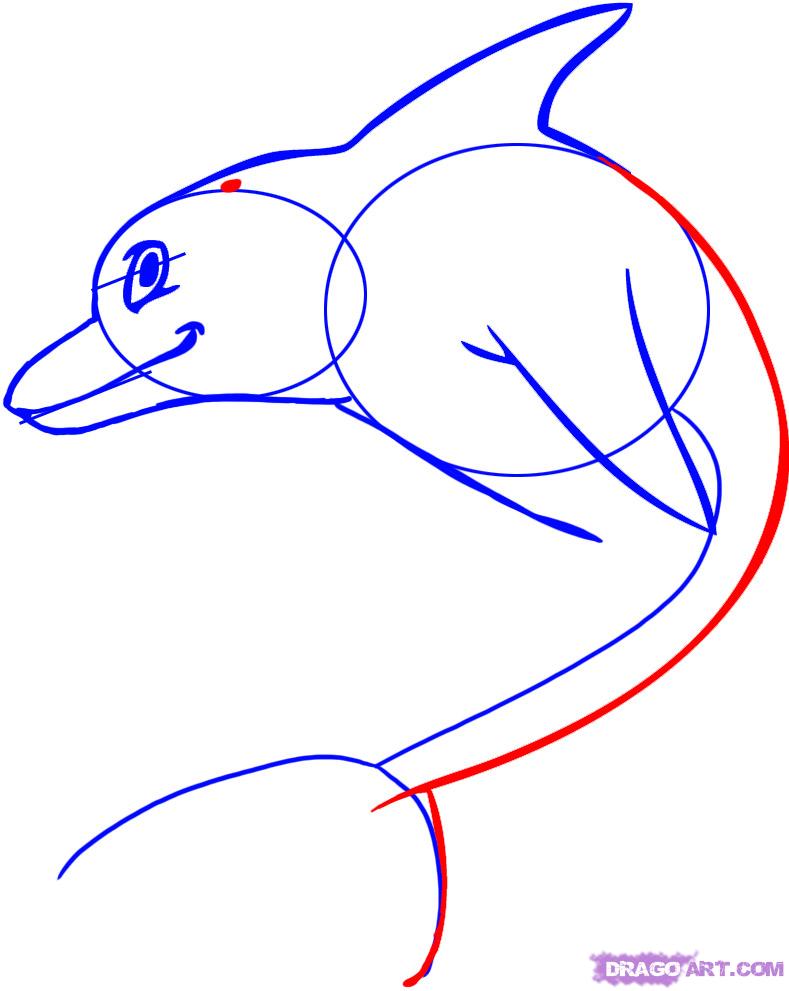 789x991 Draw A Cartoon Dolphin, Step
