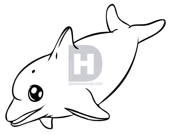 708x554 How To Draw A Dolphin How To Draw A Dolphin Cartoon Draw Alimy Us