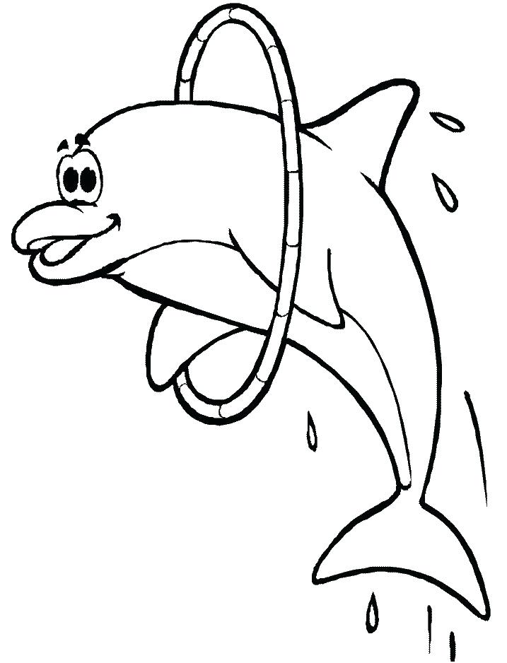 Collection of Dolphin clipart | Free download best Dolphin clipart on ...