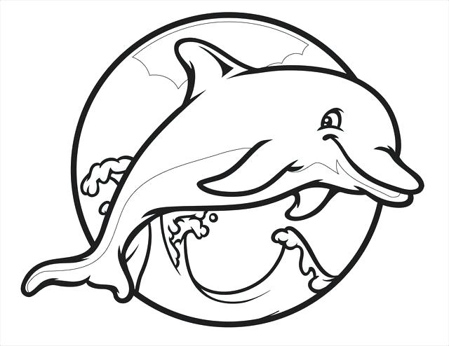 640x494 Pictures Of Dolphins To Colour In Dolphin Free Printable Coloring