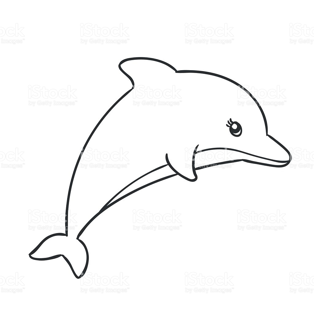 1024x1024 cartoon dolphin drawing and cartoon dolphin drawing dolphin