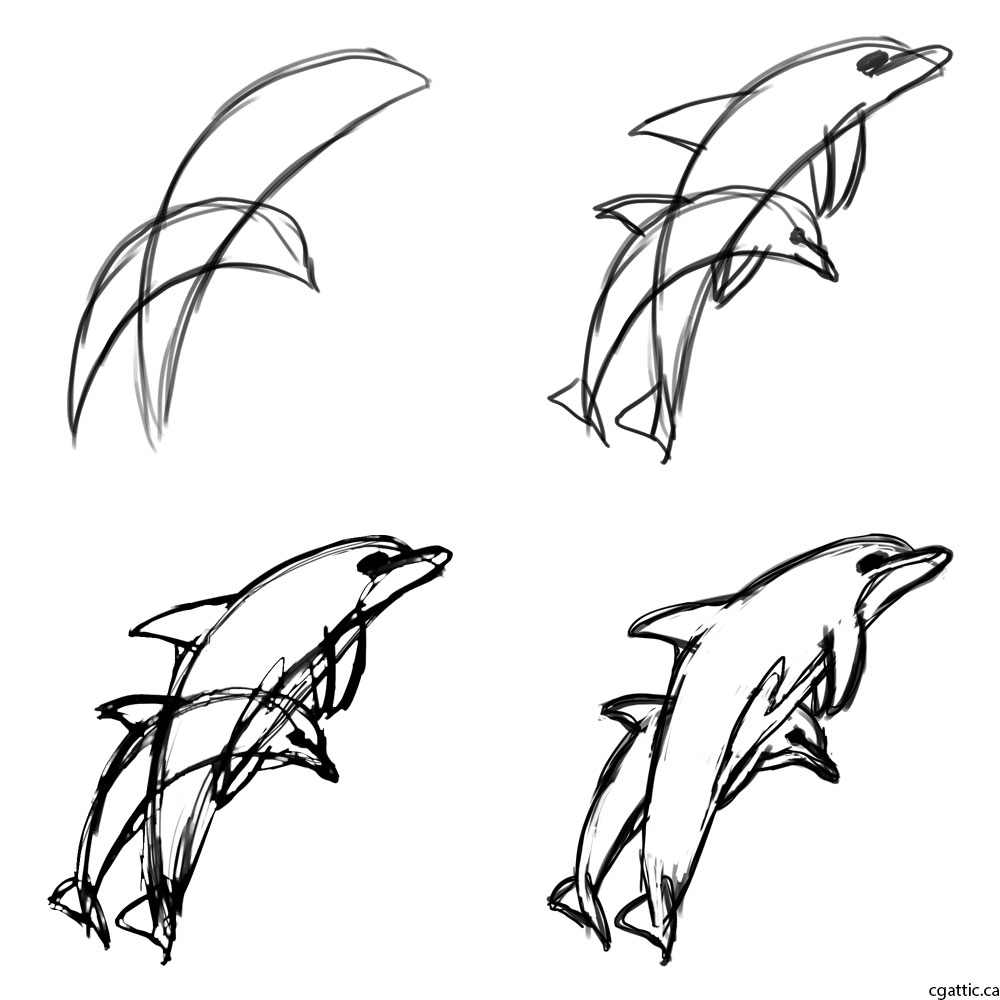 1000x1000 Cartoon Dolphin Drawing In Steps With Photoshop