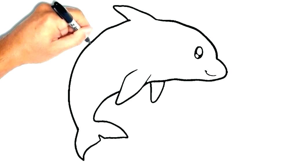 Dolphin Drawing | Free download on ClipArtMag