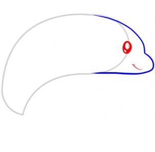 302x297 How To Draw How To Draw A Dolphin For Kids