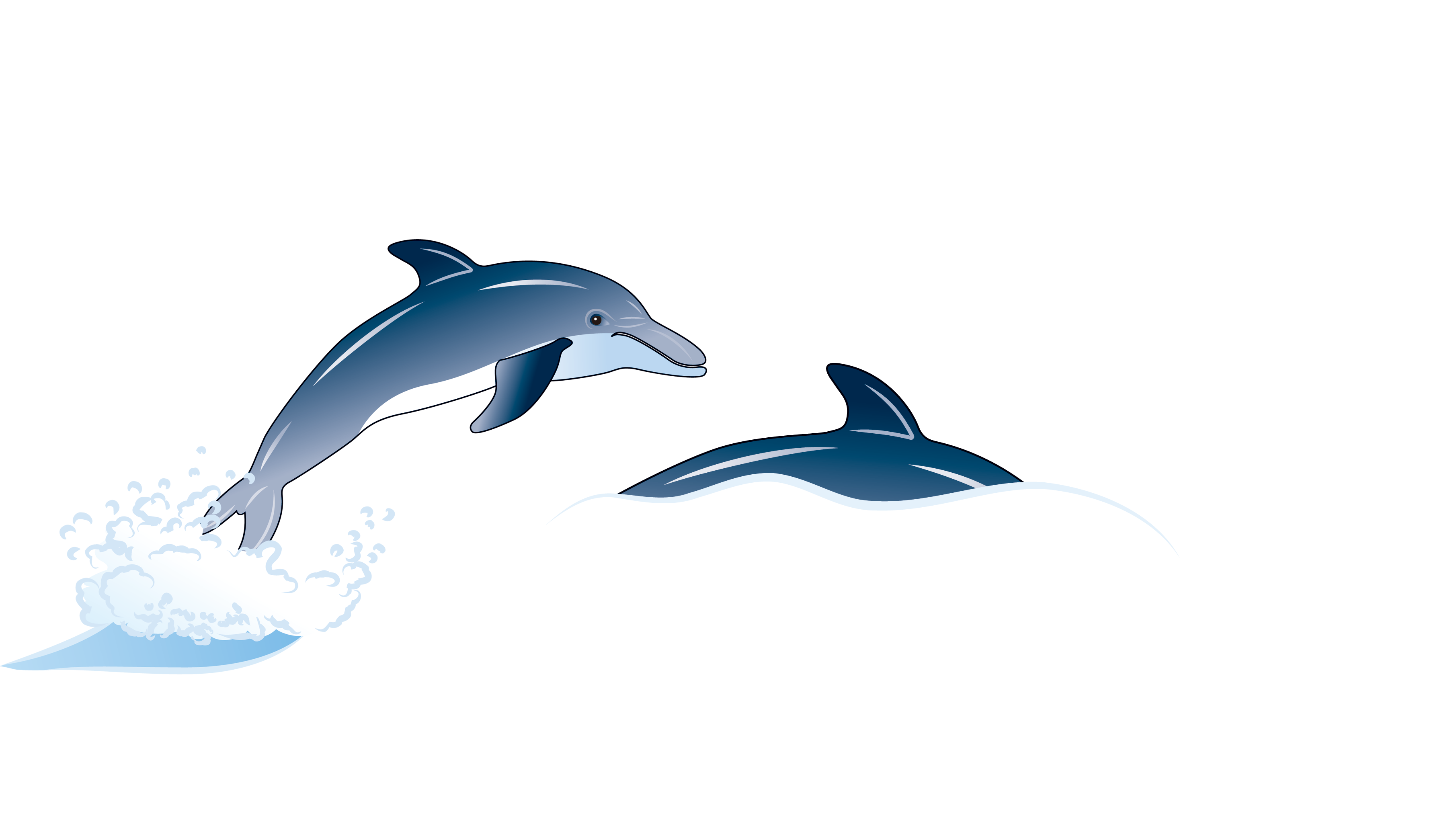 3622x2055 Porpoise Drawing Blue Dolphin Transparent Png Clipart Free
