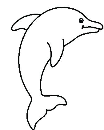 338x420 dolphin draw dolphin drawings dolphin drawing outline zupa