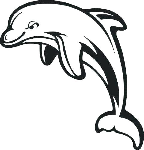 481x500 Dolphin Outline Drawing Dolphins Outline Dolphin Outline Easy