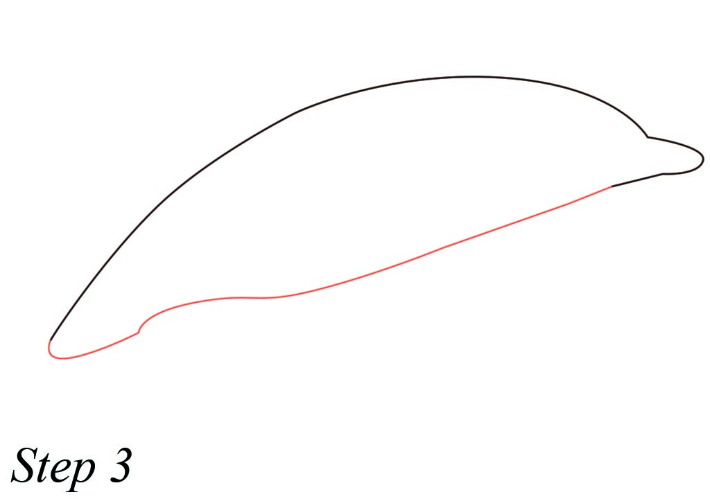 1024x720 highly intelligent sea animal dolphins drawing