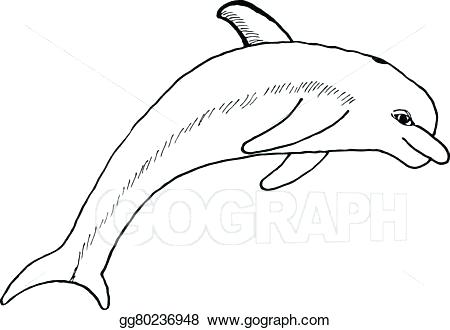 450x330 How Do You Draw A Dolphin Draw Dolphin