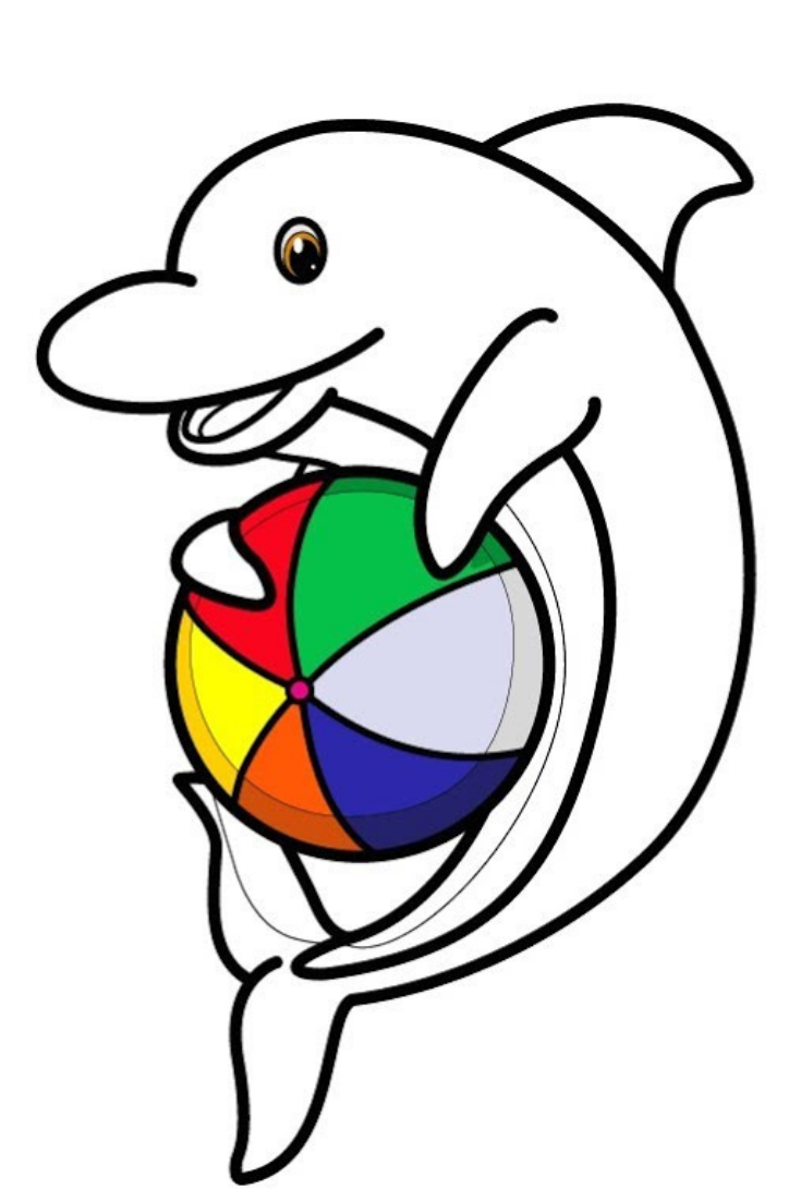 735x1102 How To Draw Dolphin