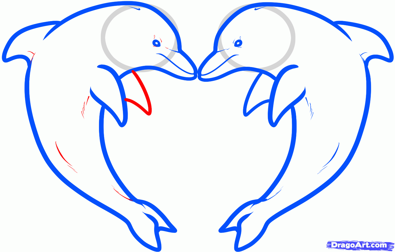 1364x872 How To Draw Love Dolphins, Dolphin Heart, Step