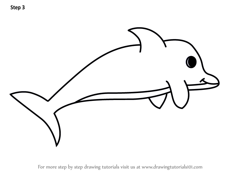 848x602 Learn How To Draw A Dolphin For Kids Very Easy