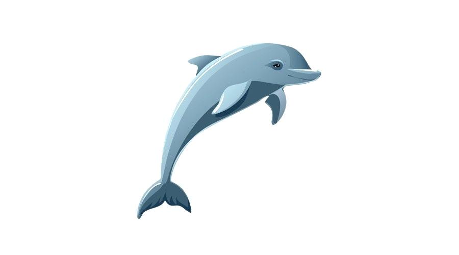 900x500 A Drawing Of A Dolphin How To Draw Dolphins Step Cute Dolphin