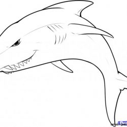 250x250 Dolphin Car Drawing Ancient Banane Ka Tarika Step