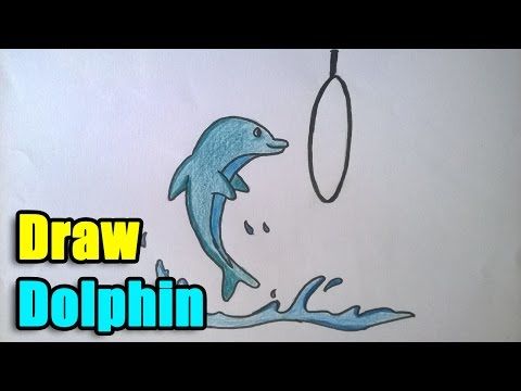 480x360 Dolphin Drawing Tutorial