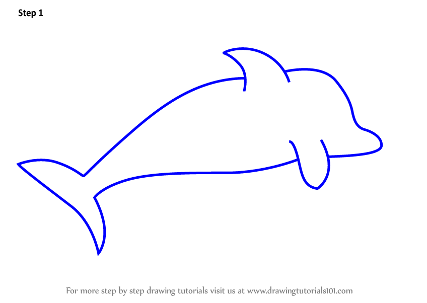 848x602 Learn How To Draw A Dolphin For Kids Very Easy