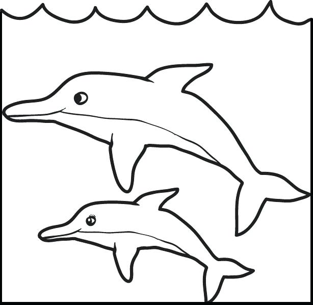 614x598 Dolphin Outline Template