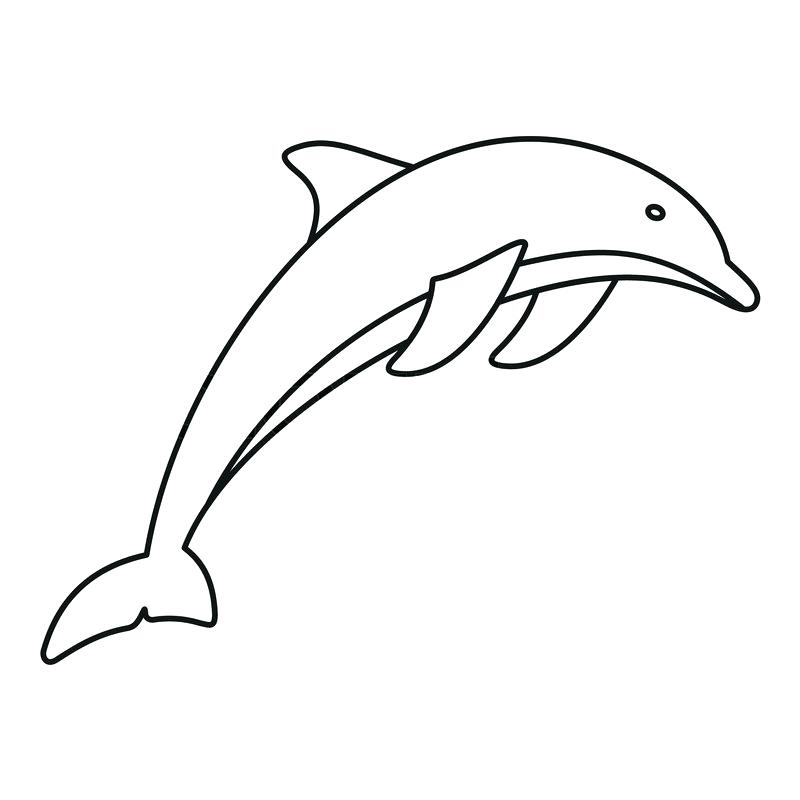 800x800 Dolphin Outline Images Drawing Dolphins Outline Dolphin Outline