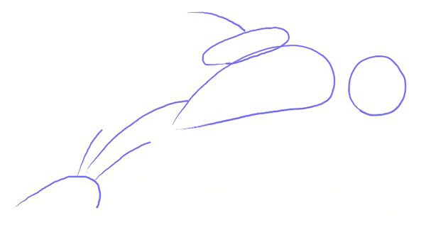 600x324 How To Draw A Dolphin