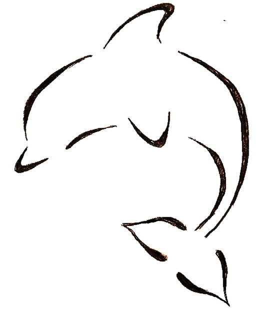 Dolphin Drawing Step By Step