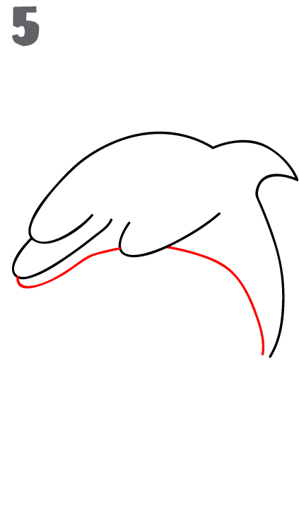 423x730 How To Draw A Dolphin