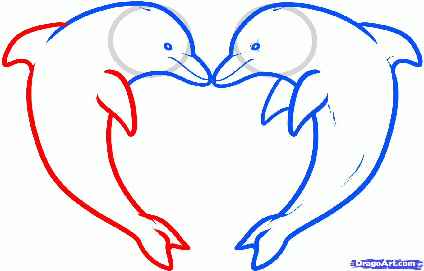 1364x872 How To Draw Love Dolphins, Dolphin Heart, Step