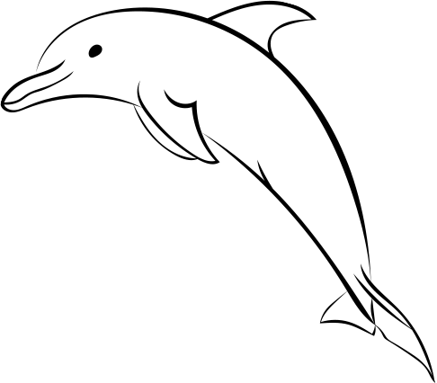486x426 Snorkel Drawing Maui Dolphin Transparent Png Clipart Free