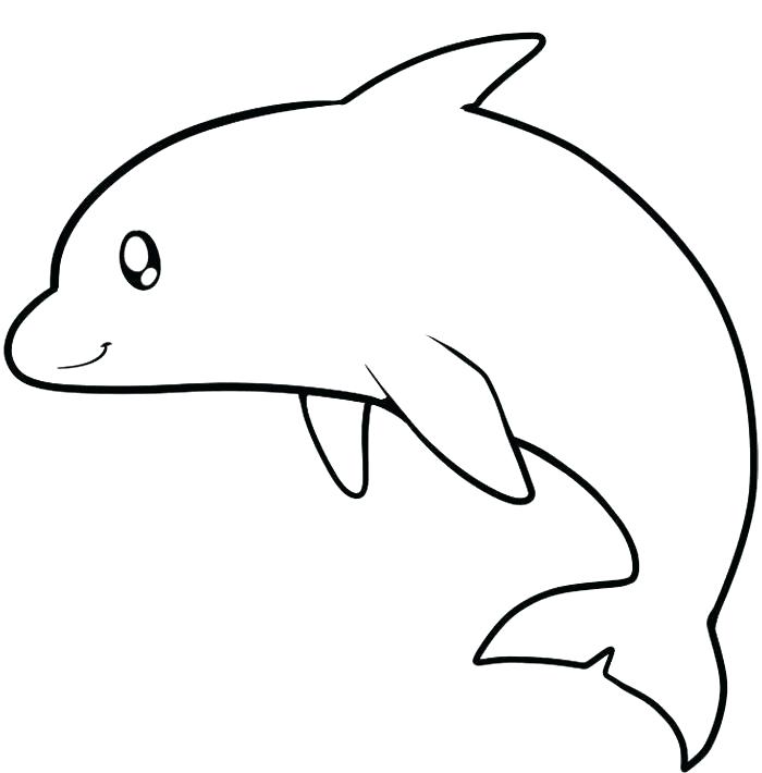 700x710 How To Draw Dolphin Line Drawing Of Dolphin Cute Dolphin Drawing