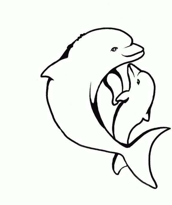 576x687 Dolphin Fish Drawings