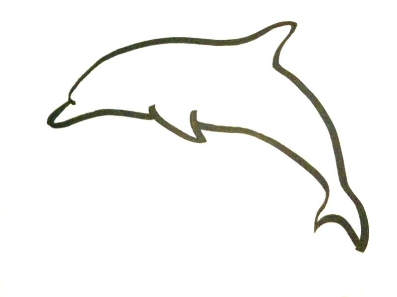 800x599 Dolphin Outline Drawing Image Dolphin Outline Line Drawing