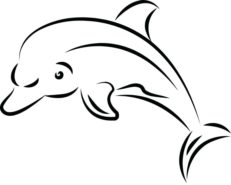 900x720 easy to draw dolphin draw dolphin easy way to draw dolphin face