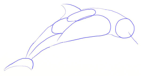 600x324 How To Draw A Dolphin