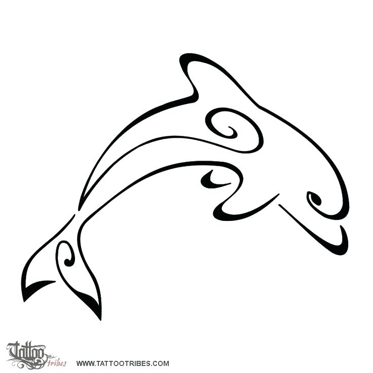 736x736 Outline Of A Dolphin Dolphin Outline Printable