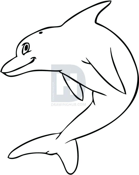 573x720 How To Draw A Cute Dolphin