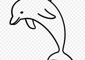 300x210 Dolphin Drawing Picture Talking Dolphin