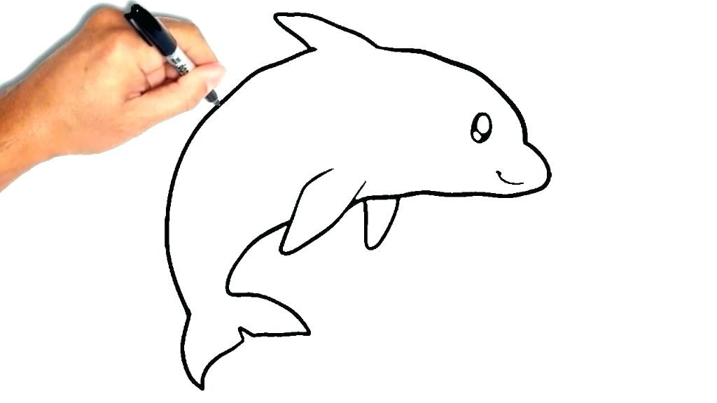 1024x576 how to draw a dolphin draw a dolphin easy dolphin drawing step
