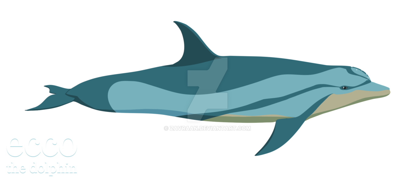 1360x588 Dolphins Drawing Riding Huge Freebie! Download For Powerpoint