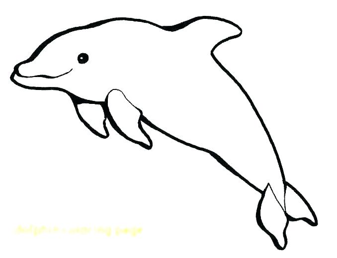 678x519 Pictures Of Dolphins To Colour In Dolphin Coloring