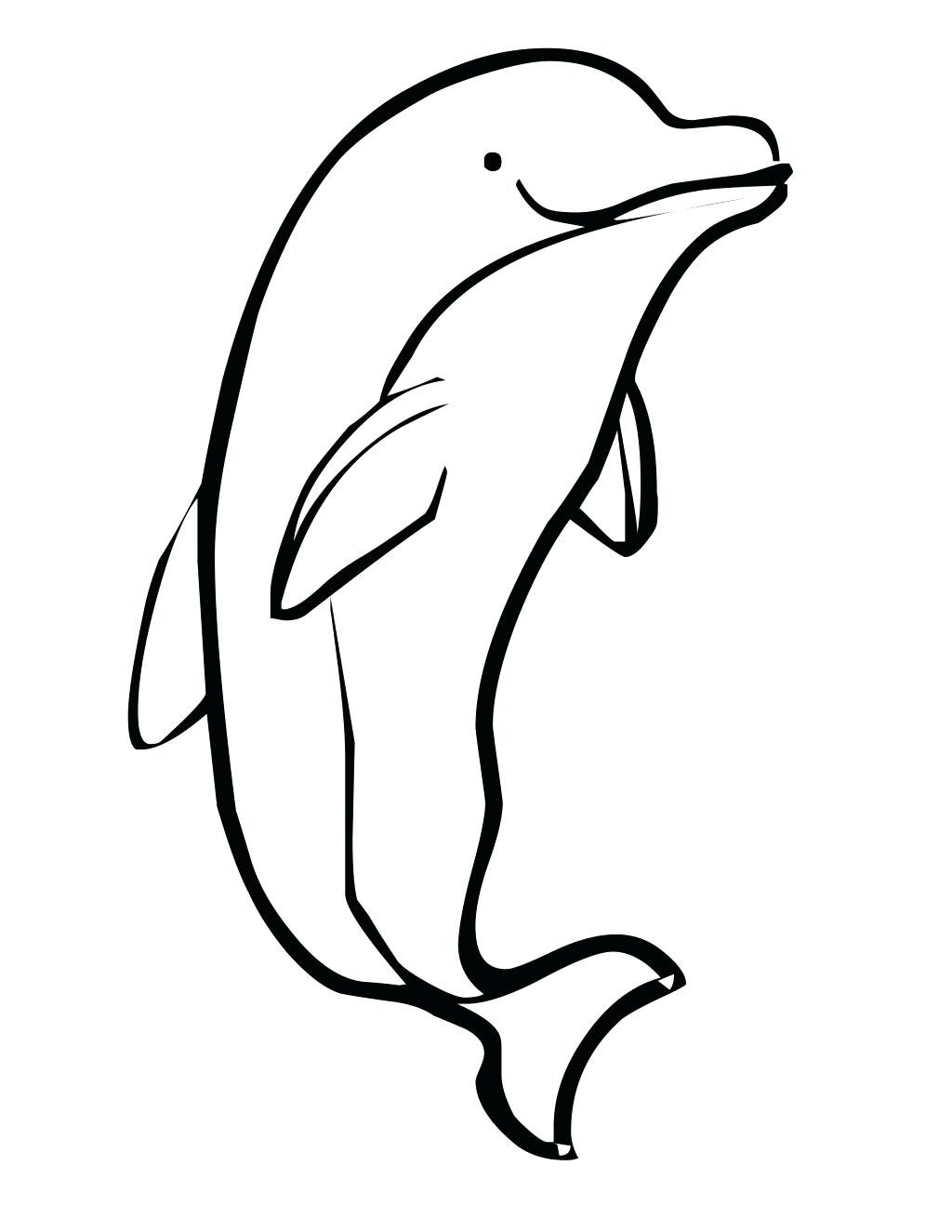 1024x1325 Dolphin Drawing Creative For Free Download