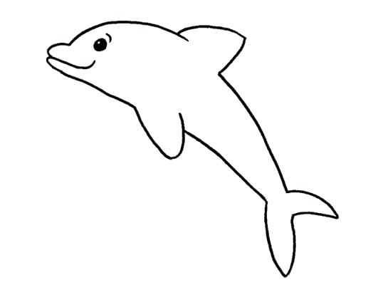 545x400 Drawings Of A Dolphin Drawing Dolphin Drawings Dolphins