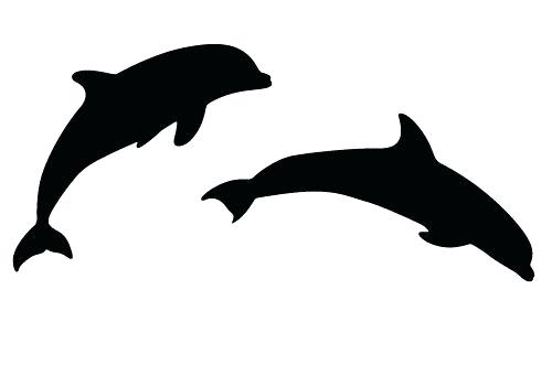 500x350 Outline Of A Dolphin Dolphin Outline Line Drawing